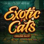 Exotic Cats online slot oyunu